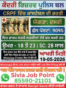 WhatsApp Image 2026 04 25 at 7.17.08 PM 225x300